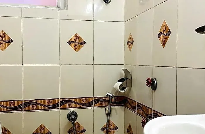 Mandakini 3*