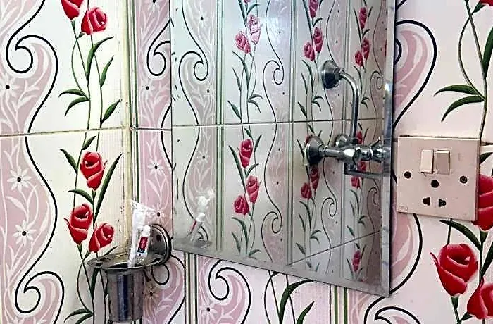 Mandakini Hotel 3*