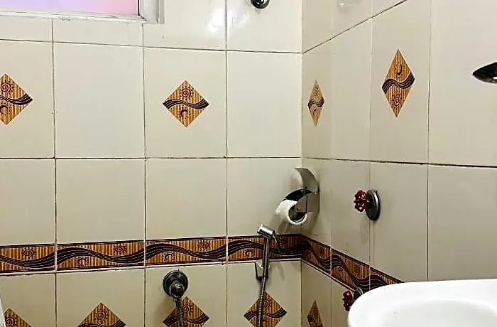 Mandakini